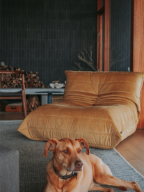 Loom and hide couch with a dog sitting in front of it