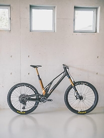 A black bike with gold details from Unno.